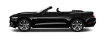 Luxury & Convertibles