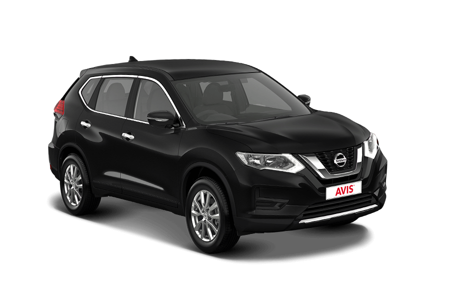 Standard SUV Standard SUV